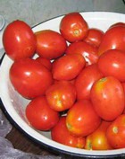 Новый сорт помидоров заменит антивозрастную косметику