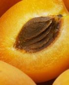 Противораковые фрукты: абрикос