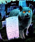  Скоро начнутся съёмки фильма ужасов «Кладбище домашних животных»