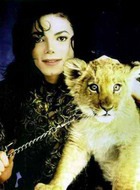 ������� ��� ��� ������ ������ ��������