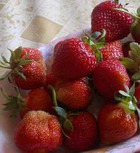 �� ����� �������� ������ �������� 