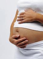 ���� �������� ��������