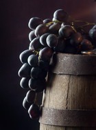 �������� � �������� ��� ������ 