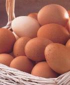 ����� ��-���������