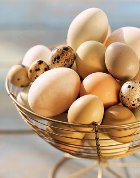 ������������ ��� ������