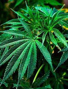 ��������� ������ ������������� ������� 