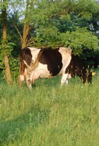 �� �������� � ������ �� �����!