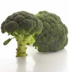 ������� �������� "������� � �������������: ������ � ������!"