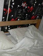 ������ ���������� ���������� ����