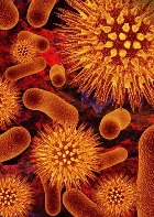 ������� ��������: ��� ��� ������������?