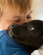 ����� ������� ���� ���������� � ���������