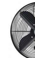 ��� ������ �����������