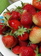 �������� ����������� �������������� ��������� 