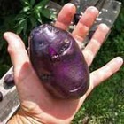 ������ ����� ����������� ���� ��������� 