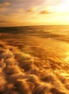 �� ���������� ������� ���������� ����� �����