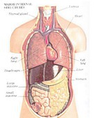 �������� ������� �� �����, ��� ����������� ������