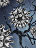 ����� ������ ����������� �����