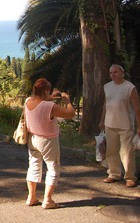 ���� ������������ �������� � �������� �������� ������ ���� 