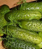 ��������, ���������� �������� ����