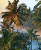 ��������� �������� ����������� ������������ � ���� �����