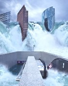 ������� ����� 2012 ����  - ������������