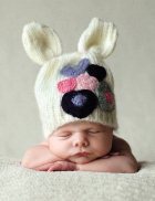 ����� ����� ������ �������� ����� ����� � 2012 ����?