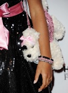 � ������� ��� �� �������� �����