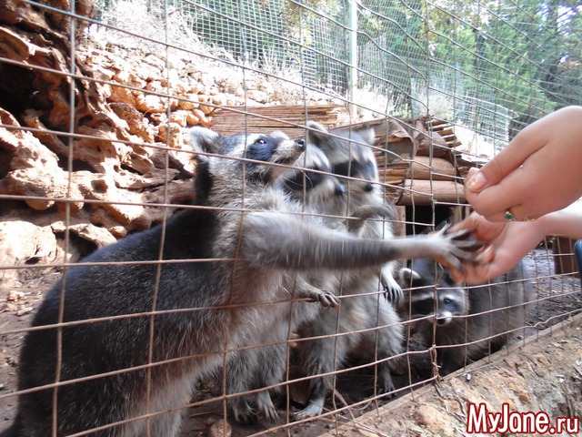 ������. ������.