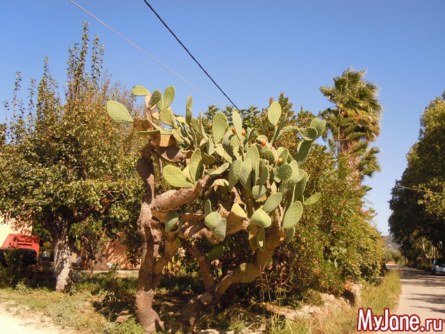 ������. ������.