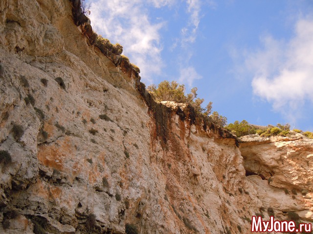 ������. ������.