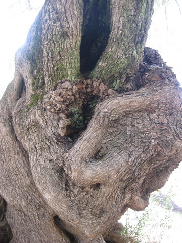 ������. ������.