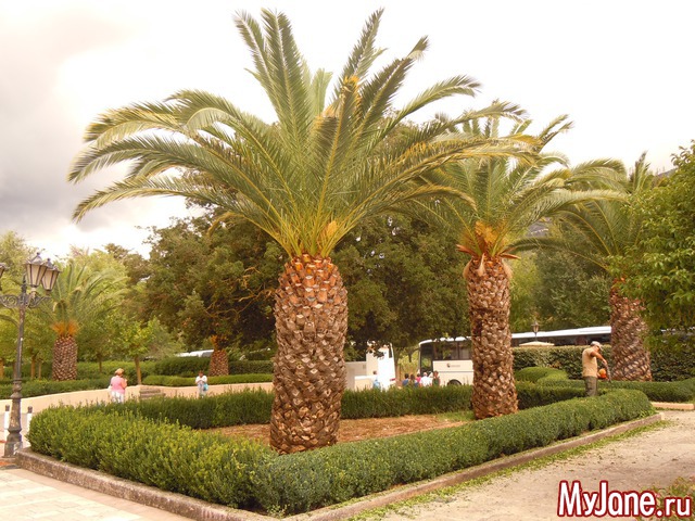 ������. ������.