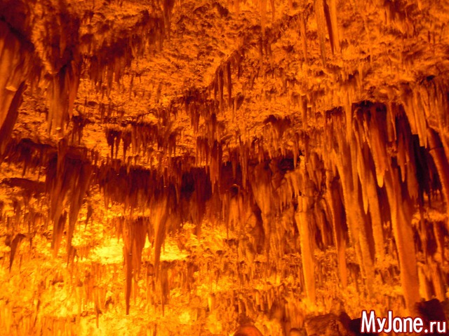 ������. ������.