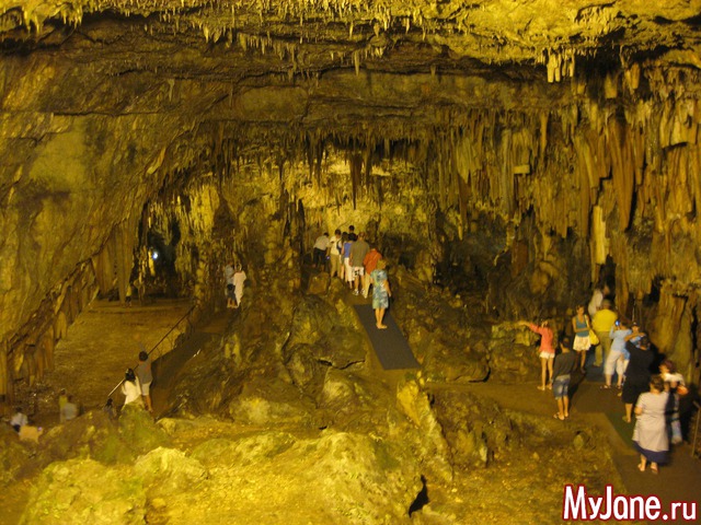 ������. ������.