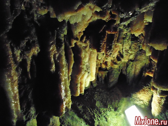 ������. ������.