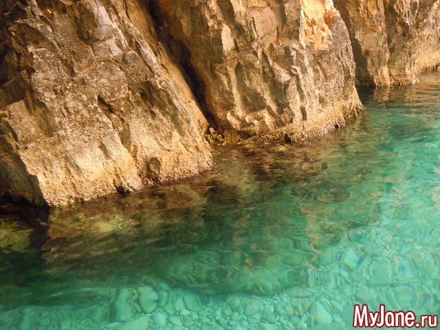 ������. ������.