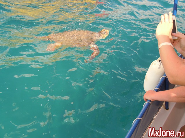 ������. ������.