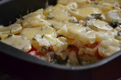 ������� ���������