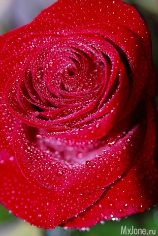 � ����� ��� ��� ����������