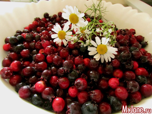 ������ ����