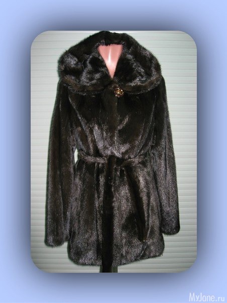 �������� ����