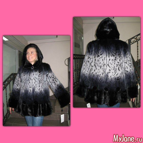 �������� ����