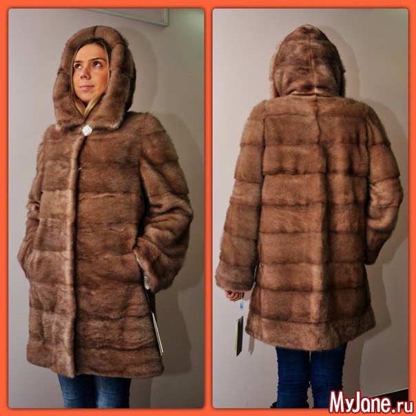 �������� ����