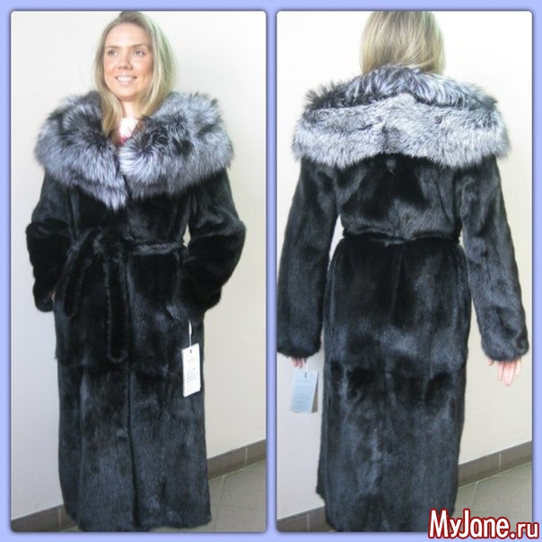 �������� ����