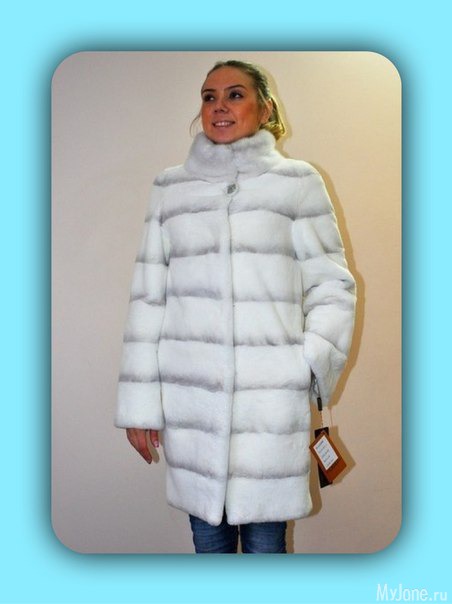 �������� ����