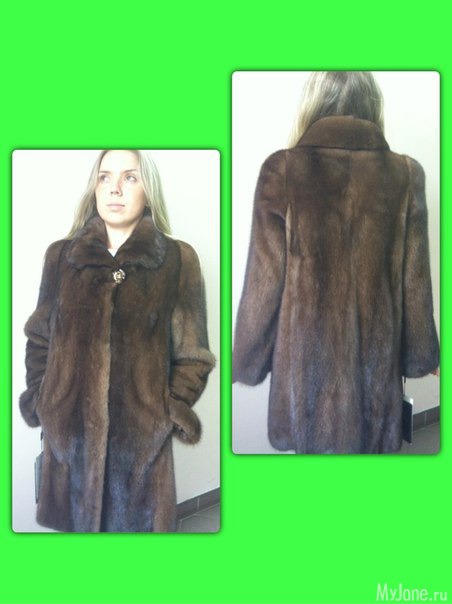 �������� ����