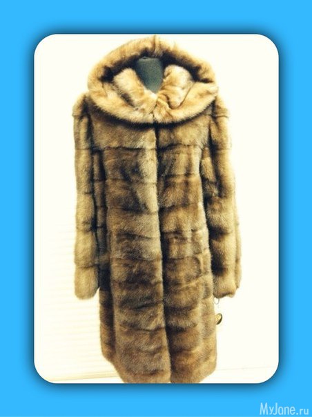 �������� ����