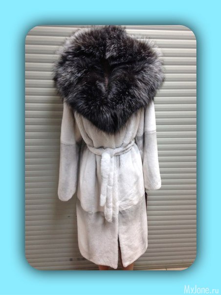 �������� ����