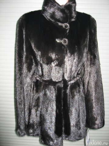 �������� ����