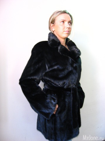 �������� ����